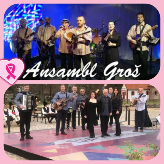 Ansambl Groš za pomoć Udruženju Budite uz nas Ansambl Groš za pomoć Udruženju Budite uz nas