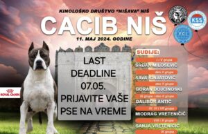 Međunarodna izložba pasa u Popovcu 11. maja Međunarodna izložba pasa