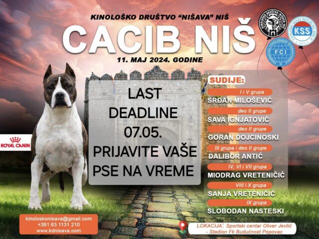 Međunarodna izložba pasa