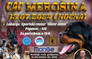 Počele prijave za noćnu izložbu pasa CAC Merošina Noćna izložba pasa CAC Merošina