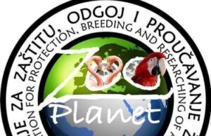 Udruženju Zoo planet potrebna pomoć: Životinja za brigu nikad više, a donacija sve manje Zoo Planet