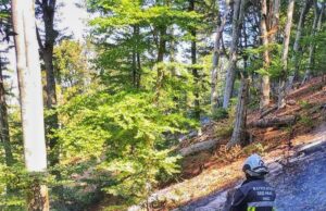 Dobrovoljni vatrogasci iz Niša pridružili se gašenju velikog požara u blizini manastira Prohor Pčinjski Dobrovoljni vatrogasci iz Niša