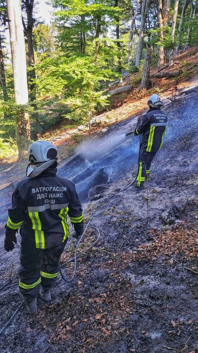 Dobrovoljni vatrogasci iz Niša