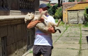 Slovenac koji pešači oko sveta sa svojim psom, posebno voli Niš, gde se najviše zadržao Oliver Tič i njegov pas