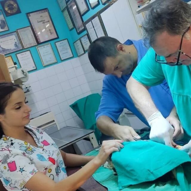 Operisano mladunče rode