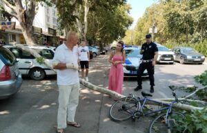 Drvo palo na Bulevaru Nemanjića u Nišu, povređen biciklista Povređeni biciklista