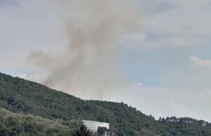 Apel Nišlijama: Ne palite travu, nisko rastinje i smeće, velika je opasnost od širenja požara Požar iznad Bogoslovije