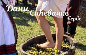 Počinju Dani sićevačke berbe. Boban Zdravković i Jelena Kostov zabavljaju posetioce Dani Sićevačke berbe