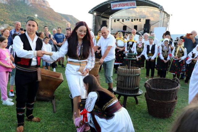 Dani sićevačke berbe i Festival vina