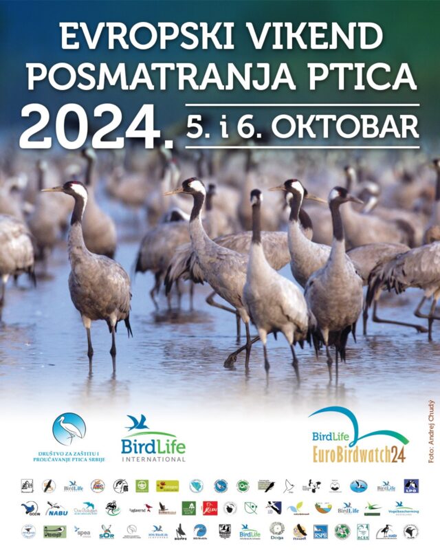 Evropski vikend posmatranja ptica 2024.