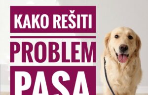 Kako rešti problem pasa lutalica ? Kako rešti problem pasa lutalica