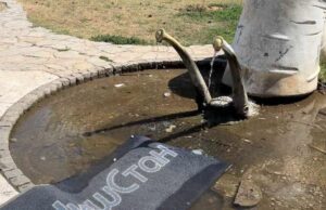 Priveden aktivista „Kreni-promeni“: Novaković: Nisam znao ništa, urađeno u skladu sa zakonom Puž u Čairu