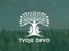 Tvoje drvo