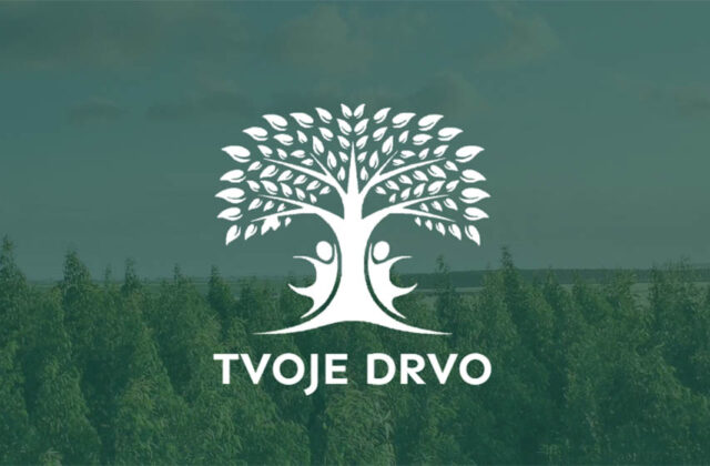 Tvoje drvo