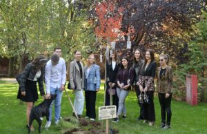 Studenti posadili „drvo znanja” za Dan Filozofskog fakulteta u Nišu: „Znanje je moć” Drvo znanja
