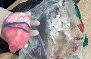 Policija u Nišu zaplenila kokain i marihuanu u ugostiteljskom objektu Kokain