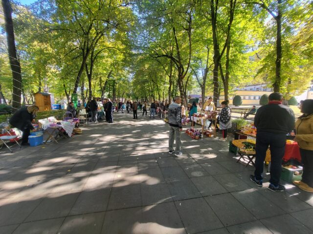 Sajam zimnice - Jesen u mom sokaku Sajam zimnice - Jesen u mom sokaku