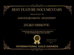 International Gold Awards Certificate