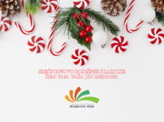 JKP „Mediana“ Niš – Čišćenje i bacanje soli JKP Mediana