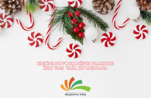 JKP „Mediana“ Niš – Čišćenje i bacanje soli JKP Mediana