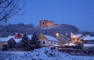 Kamiondžije iz Niša se zaglavile u snegu u Hrvatskoj. Meštani im pritekli u pomoć i ugostili ih u svom domu Kamiondžije u Šarengradu