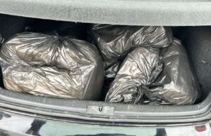 Dačić: Pripadnici PU u Nišu zaplenili 21,2 kilograma marihuane Marihuana 21. kg