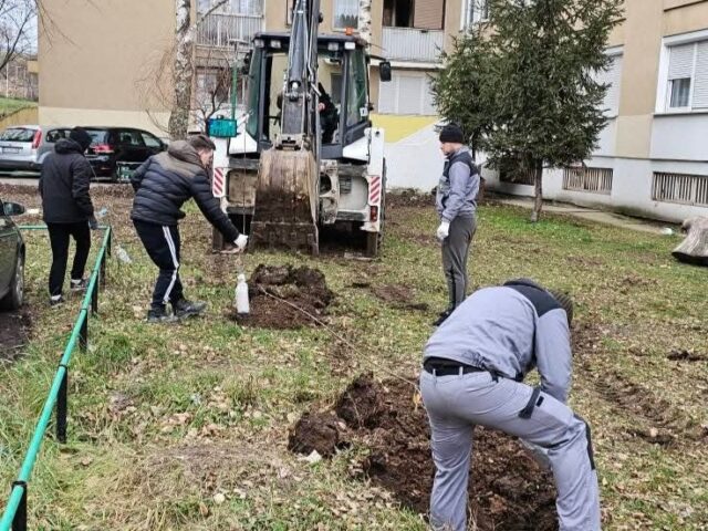 Mladi sa Delijskog Visa zasadili 70 sadnica voća