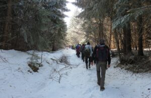 Tradicionalni 11. uspon na Krivu buku, najviši vrh Babičke gore Planinarsko društvo Trem 1810 iz Donjeg Dušnika