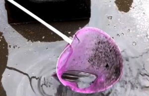 Riba spašena iz šahte u Nišu Spašavanje ribe