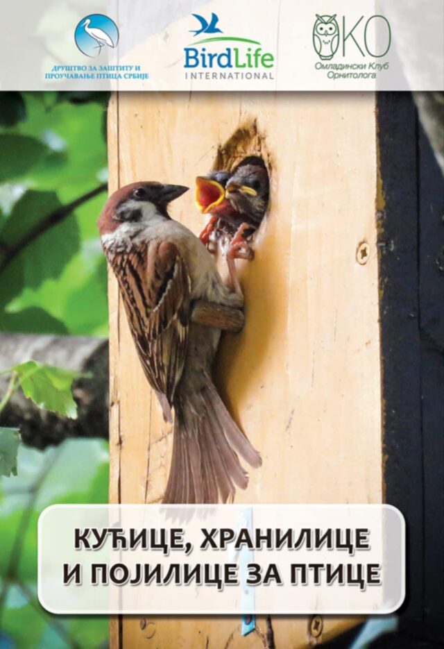 Kućice, hranilice i pojilice za ptice