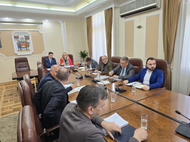 Gradsko veće grada Niša