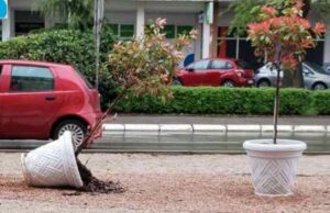 JKP „Mediana“ Niš – Vandali nastavljaju svoj pohod na javnu svojinu Žandinjera