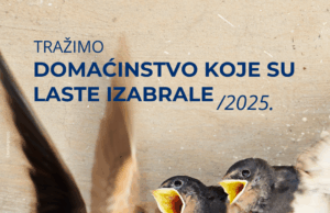 Traži se seosko domaćinstvo sa najvećim brojem lasta! Domaćinstvokoje su laste izabrale