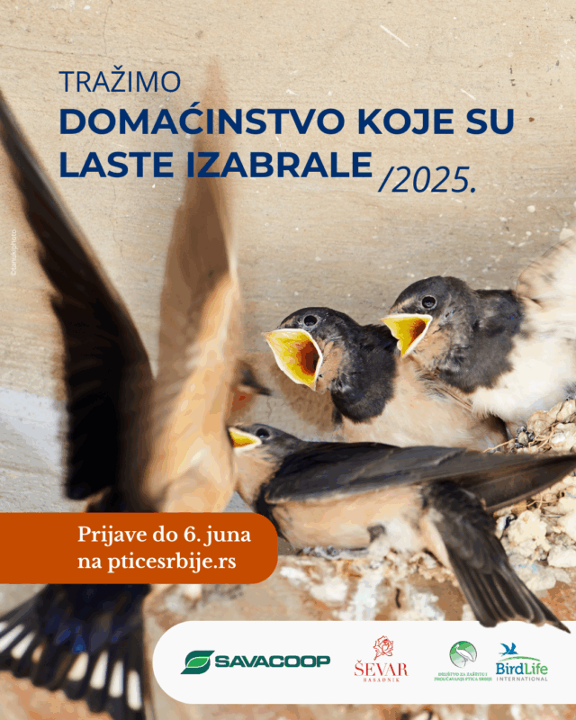 Domaćinstvokoje su laste izabrale