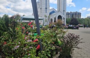 Druga izložba cveća okuplja zaljubljenike u hortikulturu: Najtraženije cvetnice preko leta ali i kaktusi Druga izložba cveća