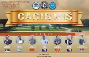 Izložba pasa svih rasa ove subote u parku Čair Izložba pasa svih rasa