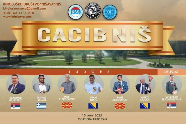 Izložba pasa svih rasa