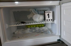 Uhapšen F. P. (1999) iz Niške Banje zbog posedovanja marihuane, amfetamina i hašiša Narkotici