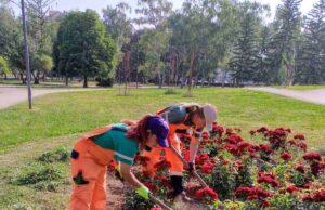 JKP „MEDIANA“ – RADOVI ZA 13. JUN JKP MEDIANA