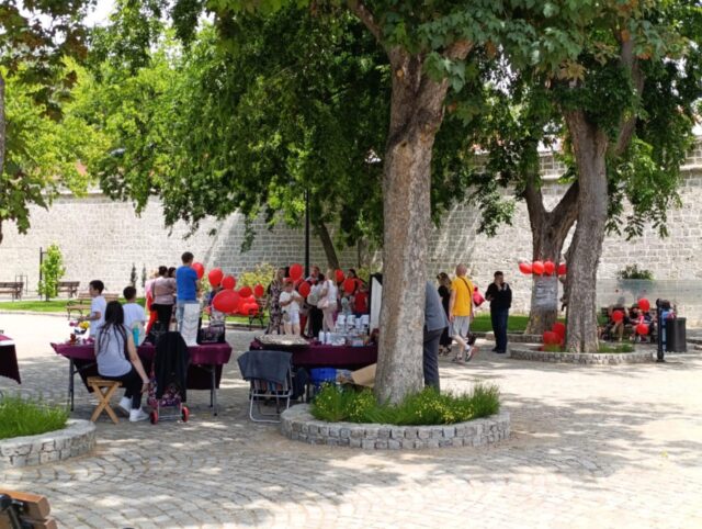 Manifestacija ispred Beogradske kapije Manifestacija ispred Beogradske kapije