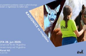 Mladi uče o životinjama: Besplatne radionice za mlade u ZOO Planetu Radionice za tinejdžere Zoo Planet