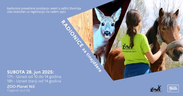 Radionice za tinejdžere Zoo Planet