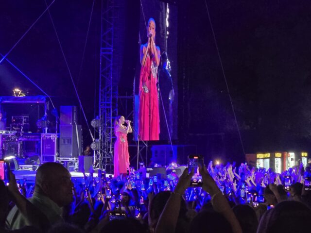 Svetlana Ceca Ražnatović