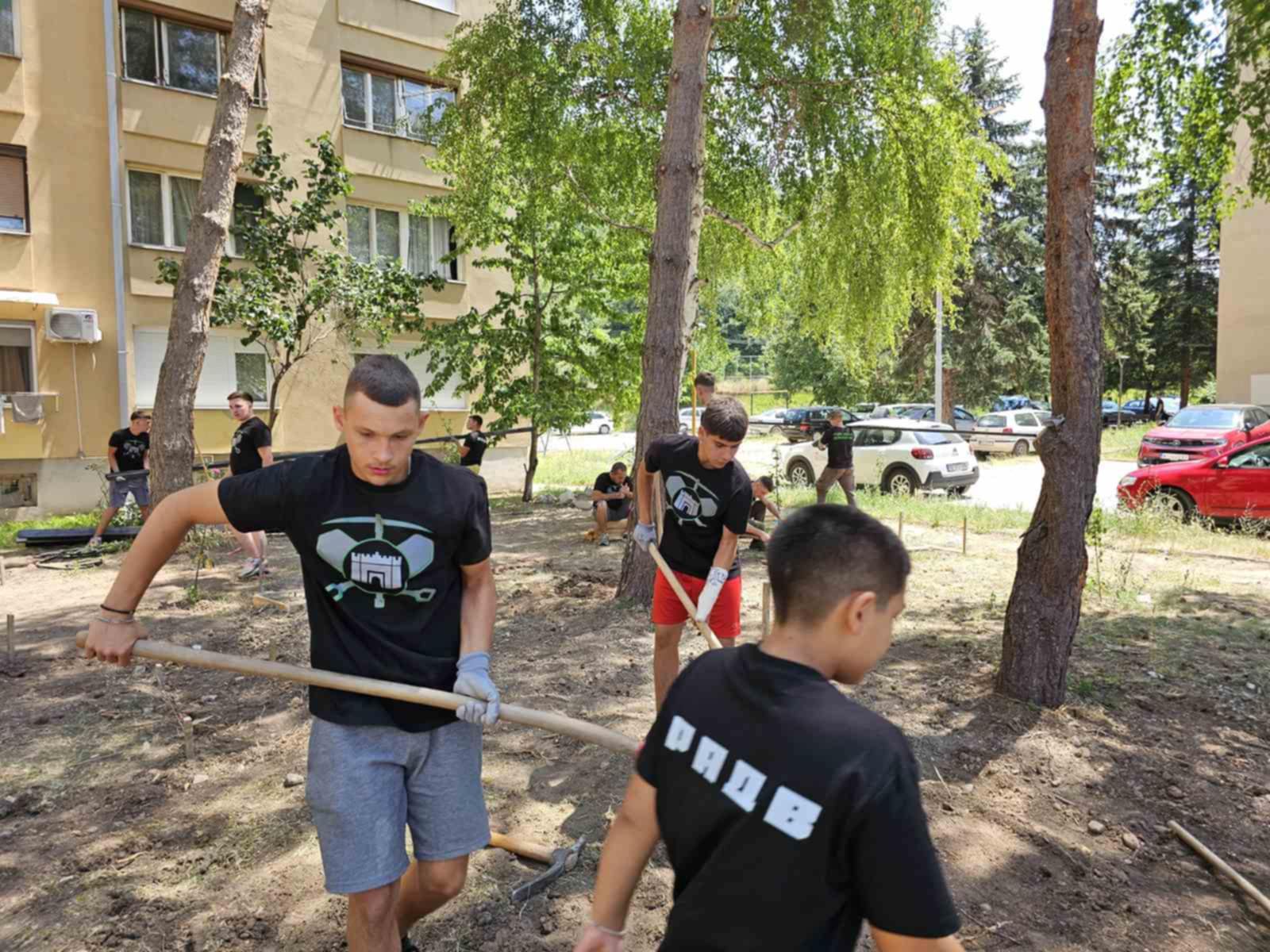 Udruženje Radne akcije Delijski vis