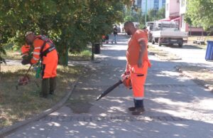 Danas je dan za naš kvart: Velika akcija čišćenja danas u naselju Stevan Sinđelić Danas je dan za naš kvart