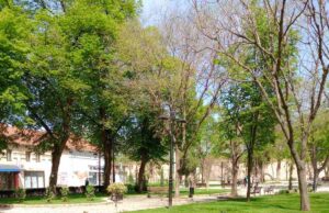 JKP “ Mediana“ – radovi za 14.7.2025. JKP Mediana cveće