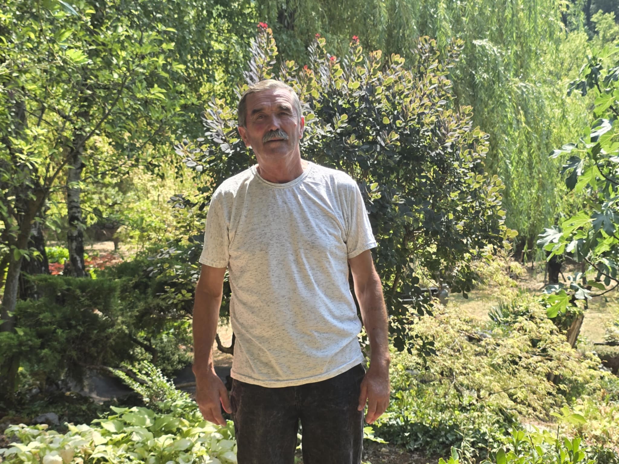 Ljubiša Đorđević