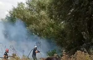 Pavlović o požarima u Nišu: Nijedna kuća nije stradala, samo neki pomoćni objekti Požar u Donjem Međurovu