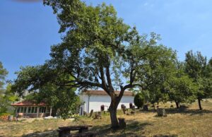 Selo Manastir ima samo jednog stanovnika, a predstavlja pravi raj na samo 17km od Niša Selo Manastir