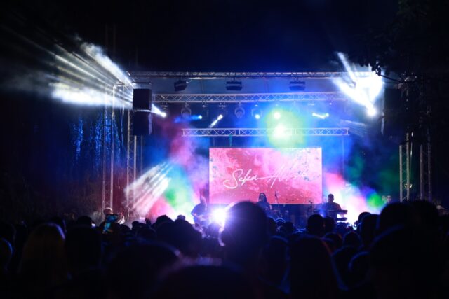 Svetlana Seka Aleksić